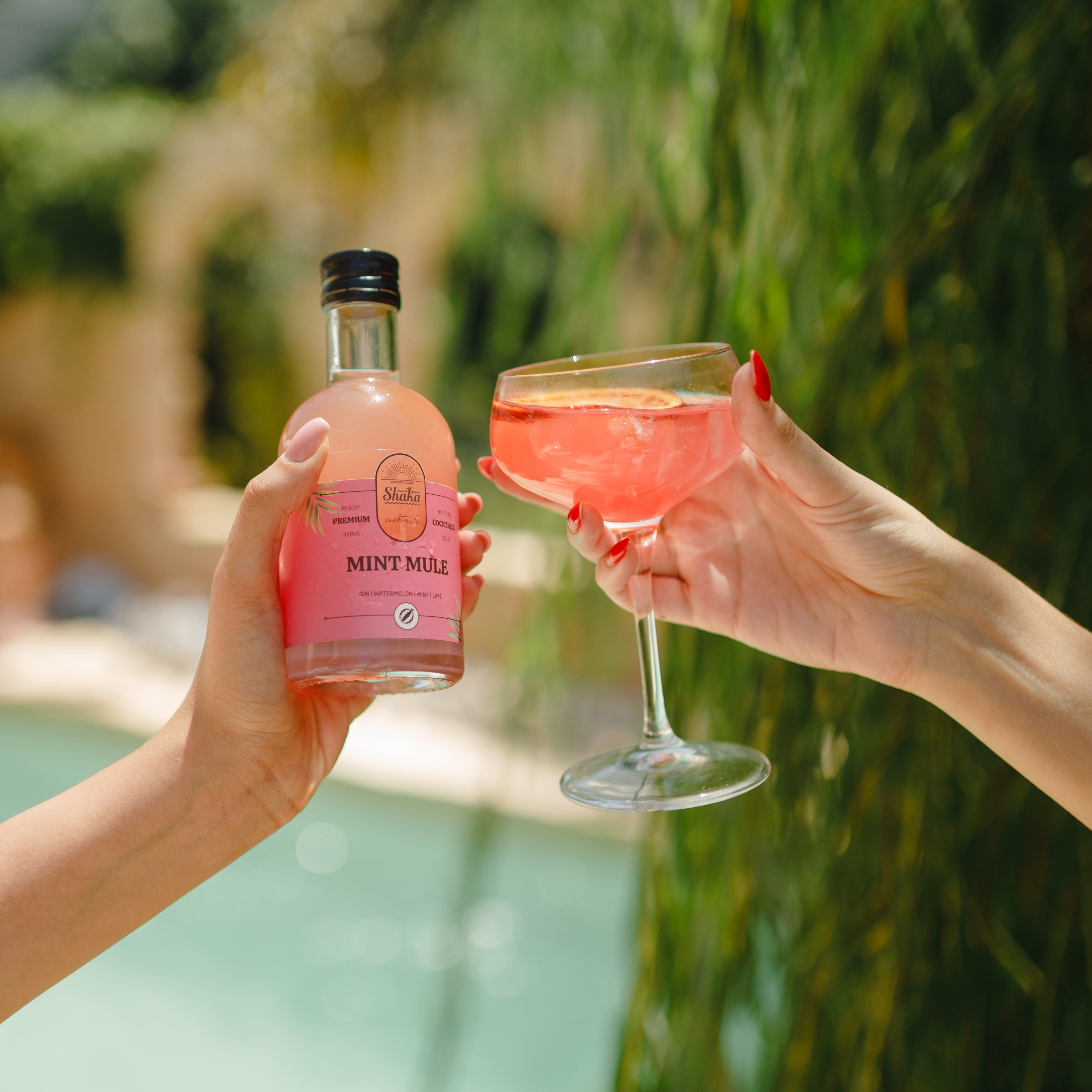 מארז למלווה השווה